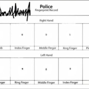 Trumps Fingerabdrücke veröffentlicht