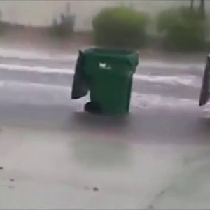 Sind das Mülltonnen oder Regentonnen?