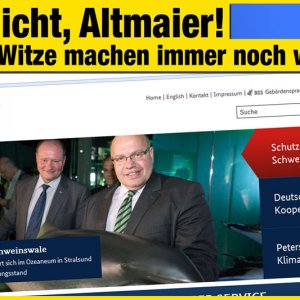 Altmaierwitz