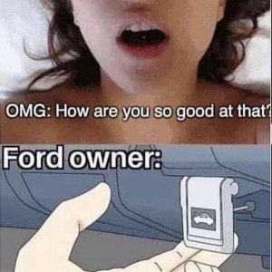 Ford owner