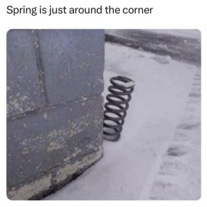 Frühling kommt