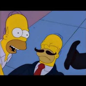 Die Simpsons - Guy Inkognito