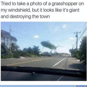 Grashüpfzilla