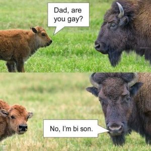 och nö
