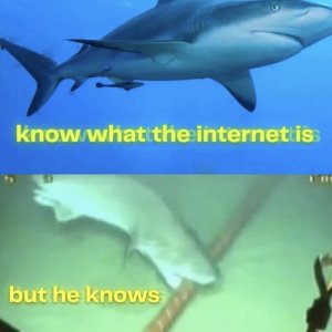 wireshark