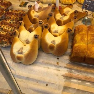 Shiba-inu butt bread