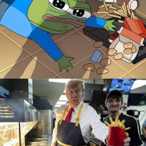 Donald, der Tröster.