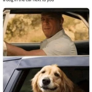 Henlo