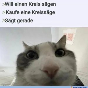 lol