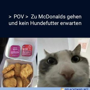 Hundefutter vom Kutter