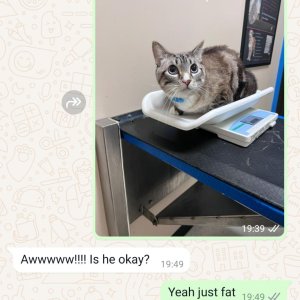 Chonker