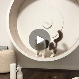 Vollgeschissenes Laufrad gereinigt!