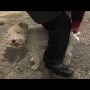 kleine reinigung