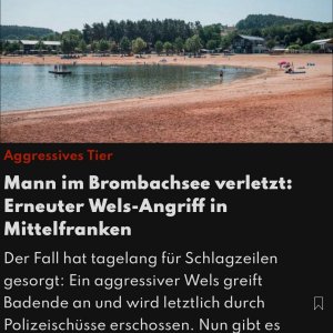 Die Rache des Bruders