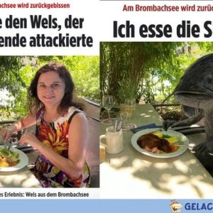 Es wird aufgetischt