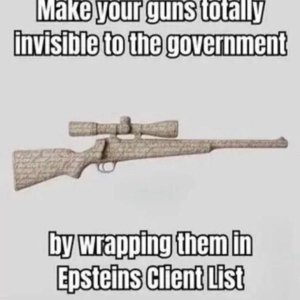 Invisible gun