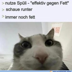Danke für nix