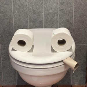 Neulich auf der Toilettentour