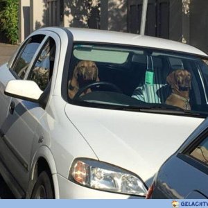 Oh naim die Höntchinins