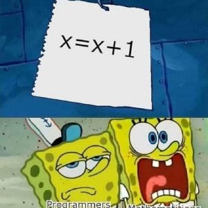 Programmers vs Mathematitians