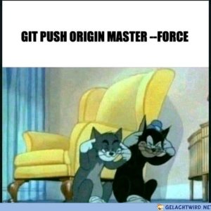Git push origin master --force