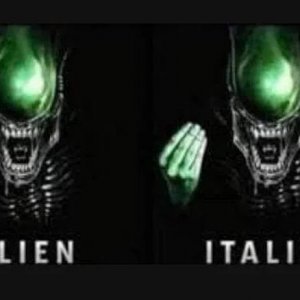VWG: Italiener