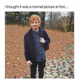 Ed Sheeran im Herbst