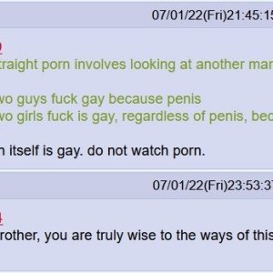 Porn is gay