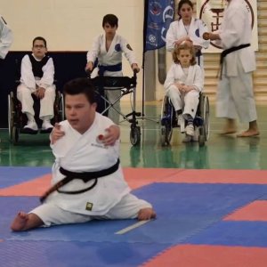 schnappi macht karate
