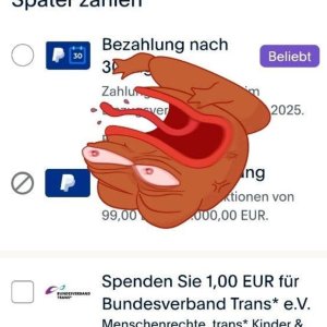 Nein Paypal, ich will nicht für die Verstümmelung von Kindern spenden!