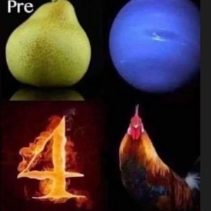 Bildrätsel