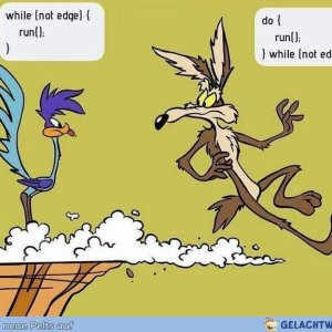 while vs do while