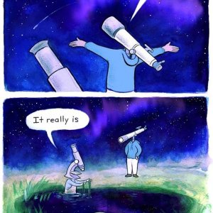 Universum