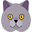 cat_emoji64_trans.png