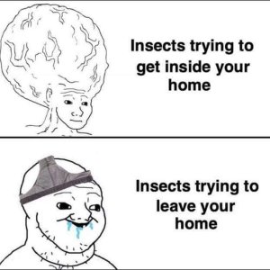 Insekten...