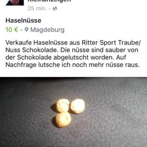 Sofort zuschlagen!