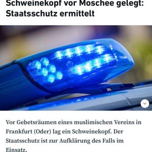 Staatsschutz