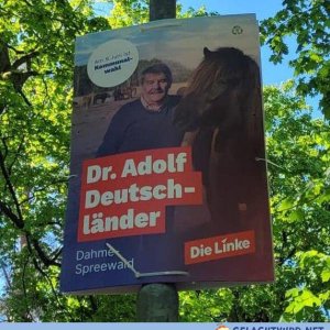 Zum Glück nicht von der AfD