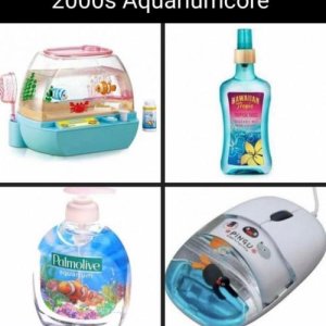 Welcome to my offish