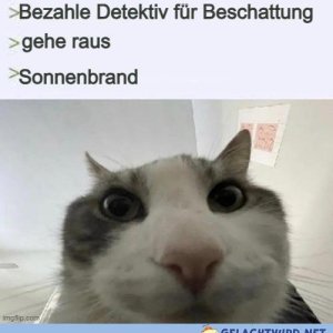 Geld zurück!