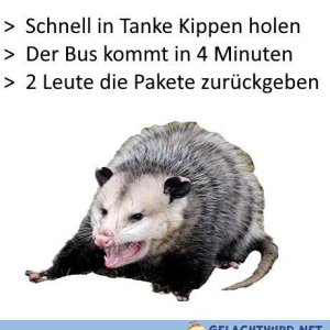 Da könnt ich aus der Hose springen