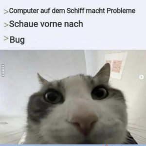 Nur ein toter Bug ist ein guter Bug