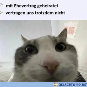 Ehevertrag.jpg