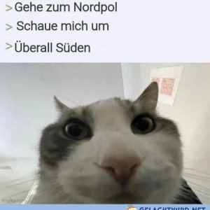 Auch nicht mehr das was es mal war