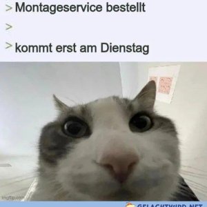 Servicewüste