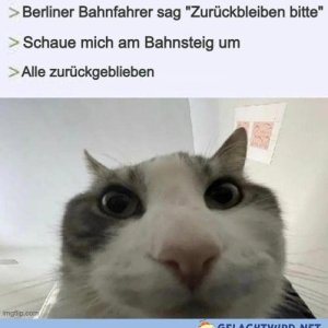 Das eskalierte schnell
