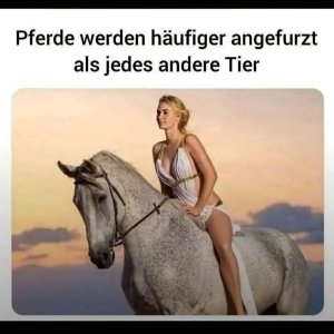Amerikanische Wissenschaftler haben das festgestellt