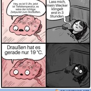 Jetzt aber raus hier