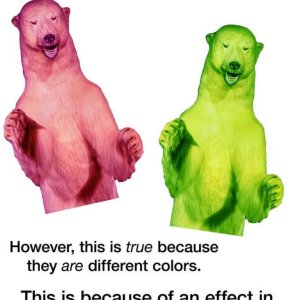 Eisberen