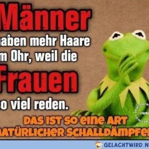 XD